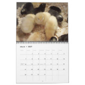 Ziegen und Geflügel-Kalender 2013 Kalender (Mär 2027)