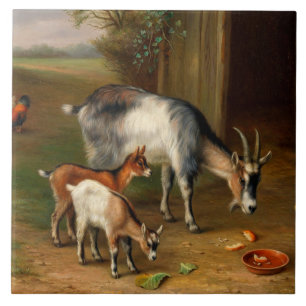 Ziegen und Hühner auf dem Bauernhof Fliese