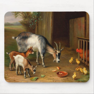 Ziegen und Hühner auf dem Bauernhof Mousepad