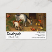 Ziegen und Hühner auf der Betriebskarte Visitenkarte (Vorderseite)