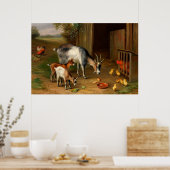 Ziegen und Hühner im Betrieb Poster (Küche)