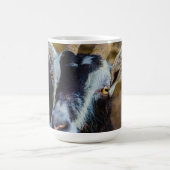 Ziegen und Ziegen (67) Kaffeetasse (Mittel)