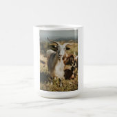 Ziegen und Ziegen (77) Kaffeetasse (Mittel)