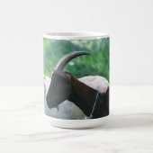 Ziegen und Ziegen (79) Kaffeetasse (Mittel)