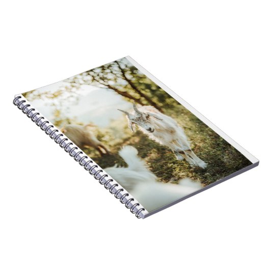 Ziegen und Ziegen (85) Notizblock (Rechte Seite)