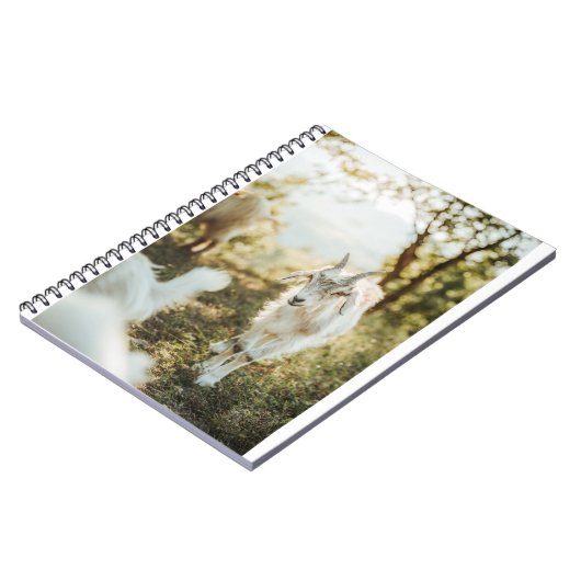 Ziegen und Ziegen (85) Notizblock (Linke Seite)