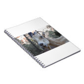 Ziegen und Ziegen (88) Notizblock (Rechte Seite)