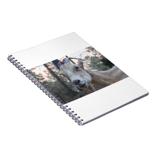 Ziegen und Ziegen (88) Notizblock (Rechte Seite)