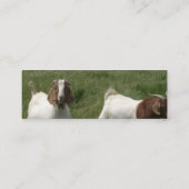 Ziegen-Visitenkarte Mini Visitenkarte (Rückseite)