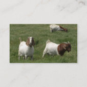 Ziegen-Visitenkarte-Schablone Visitenkarte (Rückseite)