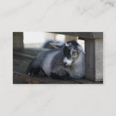 Ziegen-Visitenkarte Visitenkarte (Rückseite)