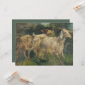 Ziegen (von Vincenzo Caprile) Karte (Vorderseite/Rückseite Beispiel)