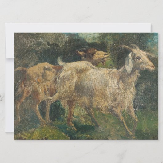 Ziegen (von Vincenzo Caprile) Karte (Vorderseite)