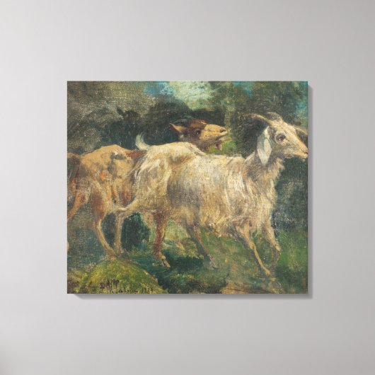 Ziegen (von Vincenzo Caprile) Leinwanddruck (Vorderseite)