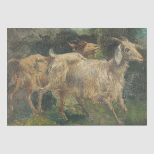 Ziegen (von Vincenzo Caprile) Seidenpapier (Vorderseite)