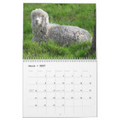 Ziegen-Wandkalender Kalender (Mär 2027)