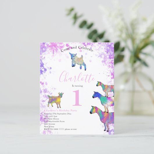 Ziegen Zuchttiere 1. Geburtstag Party Haushalt (Stehend Vorderseite)