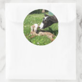 Ziegenaufkleber Set 6 Runder Aufkleber (Tasche)