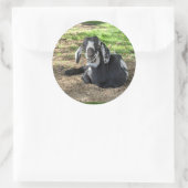 Ziegenaufkleber Set 6 Runder Aufkleber (Tasche)