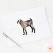 Ziegenaufkleber Set 6 Runder Aufkleber (Umschlag)