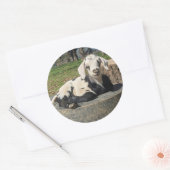 Ziegenaufkleber Set 6 Runder Aufkleber (Umschlag)