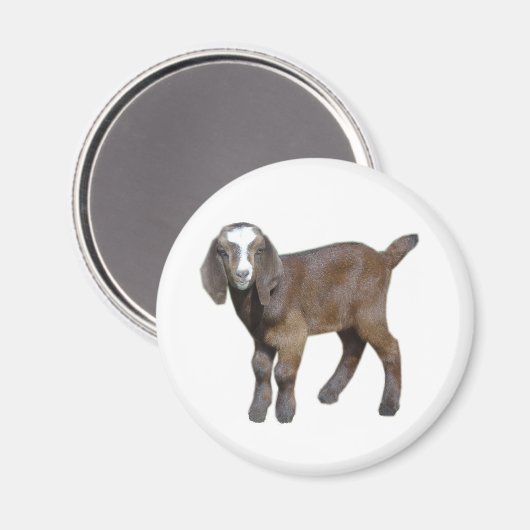 Ziegenbaby-Magnet Magnet (Vorderseite/Rückseite)