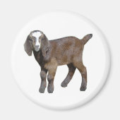 Ziegenbaby-Magnet Magnet (Vorne)