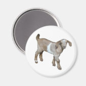 Ziegenbaby-Magnet Magnet (Vorderseite/Rückseite)