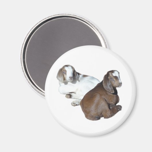 Ziegenbaby-Magnet Magnet (Vorderseite/Rückseite)