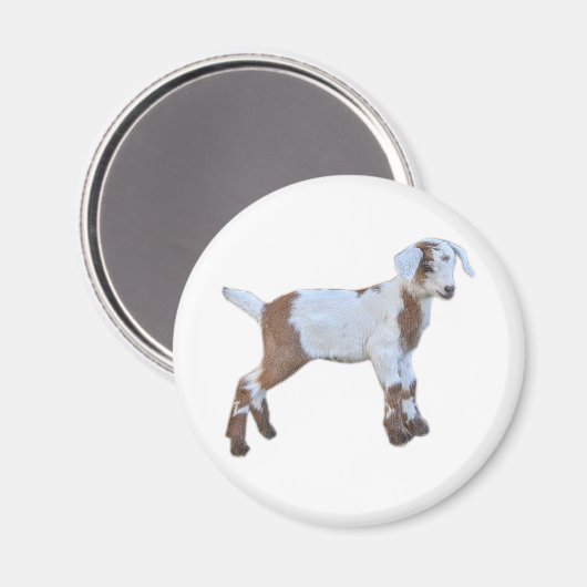 Ziegenbaby-Magnet Magnet (Vorderseite/Rückseite)
