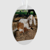 Ziegenbabylornament 2 Bilder Ornament (Vorderseite)
