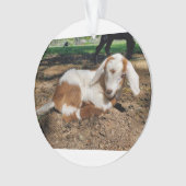 Ziegenbabylornament 2 Bilder Ornament (Vorderseite)