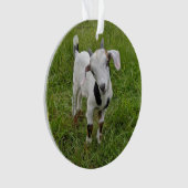 Ziegenbabylornament 2 Bilder Ornament (Vorderseite)