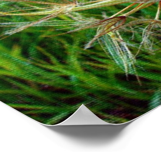 Ziegenbart Poster (Ecke)