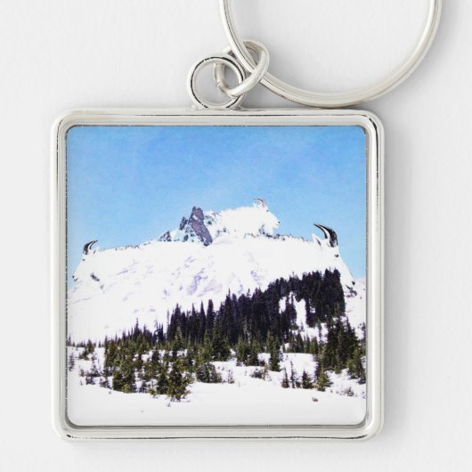 Ziegenberg Schlüsselanhänger (Vorne)