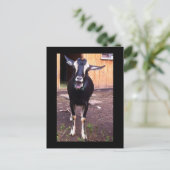 Ziegenbezeichnung Blume Postkarte (Stehend Vorderseite)