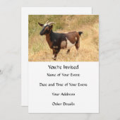 Ziegenbild Einladung (Vorne/Hinten)