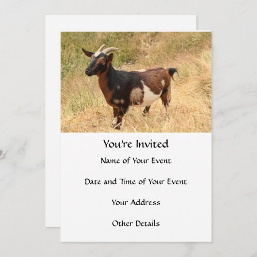 Ziegenbild Einladung (Vorne/Hinten)