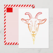 Ziegenbild Postkarte (Vorne/Hinten)