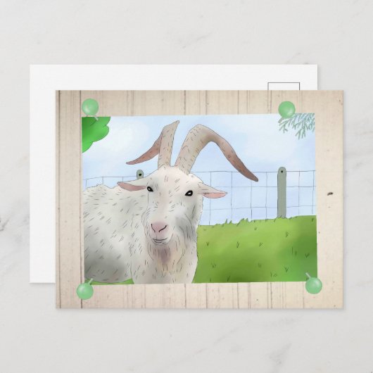 Ziegenbock Postkarte (Vorne/Hinten)