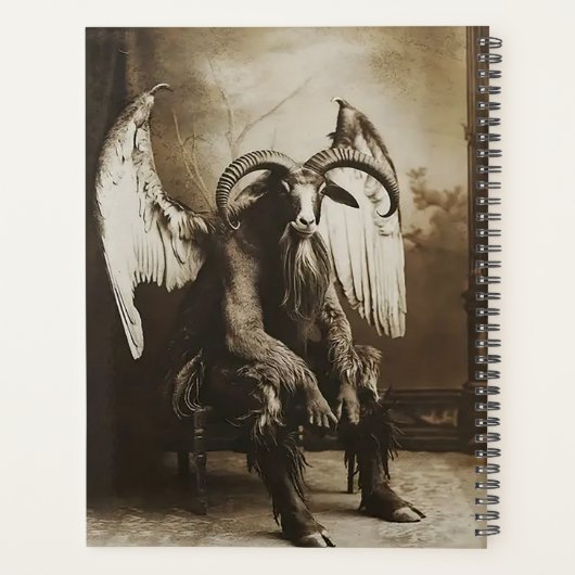 Ziegendemon Planer (Rückseite)