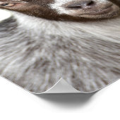 Ziegenfarm Foto peekaboto Kinderzimmer Poster (Ecke)