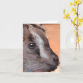 Ziegenfernsehen Karte (Gelbe Blume)