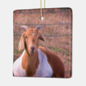 ZiegenFoto Keramikornament (Links)