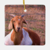 ZiegenFoto Keramikornament (Vorderseite)