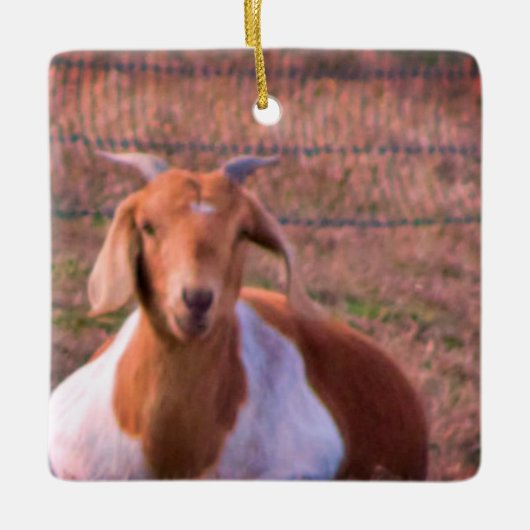 ZiegenFoto Keramikornament (Vorderseite)