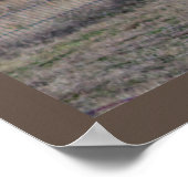 ZiegenFoto Poster (Ecke)