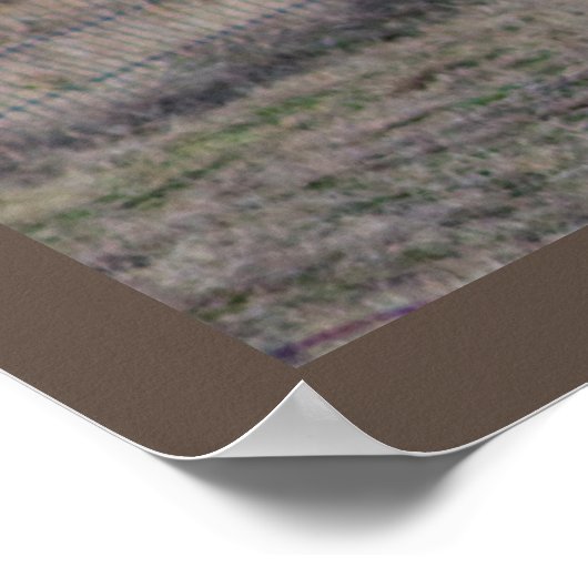 ZiegenFoto Poster (Ecke)