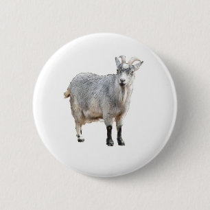 Ziegenfotografie Button