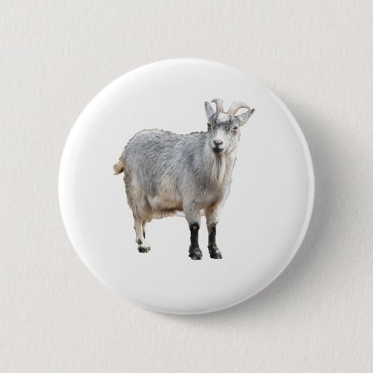 Ziegenfotografie Button (Vorderseite)